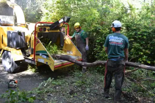 tree services Terre Haute